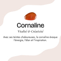 Bracelet en Cornaline 5
